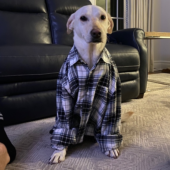 You miss 100% of the shots you never take! - Picture 3 of 4